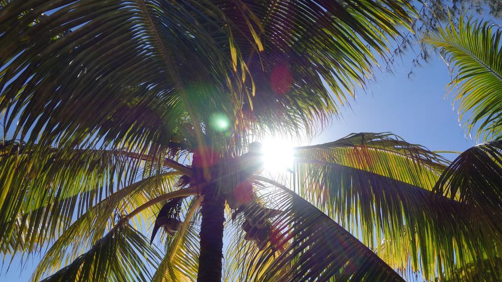 Coconuts Villa Grand Baie Bagian luar foto